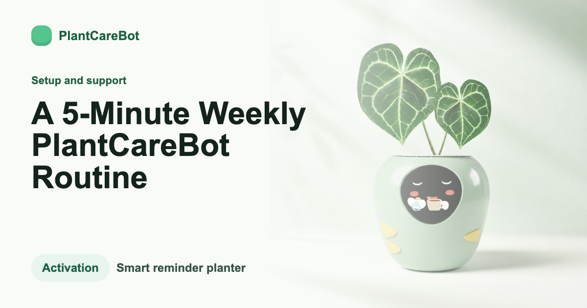 A 5-Minute Weekly PlantCareBot Routine cover image for PlantCareBot blog