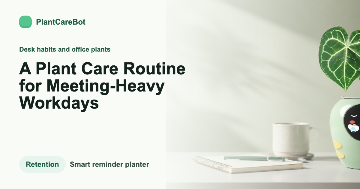 A Plant Care Routine for Meeting-Heavy Workdays cover image for PlantCareBot blog