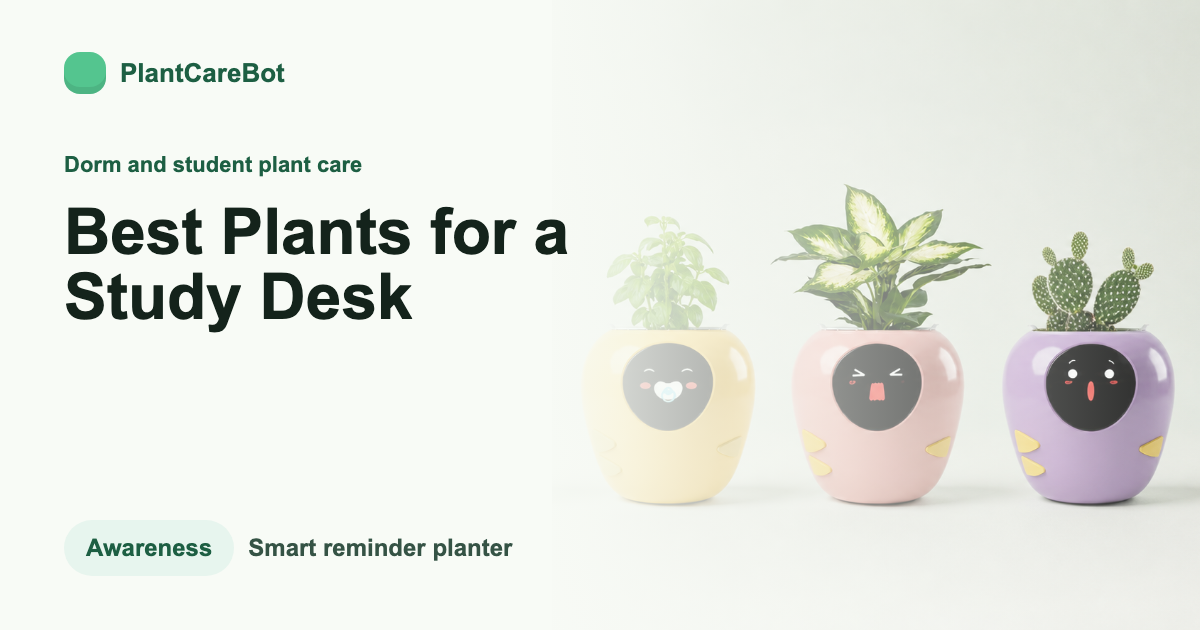 Best Plants for a Study Desk cover image for PlantCareBot blog
