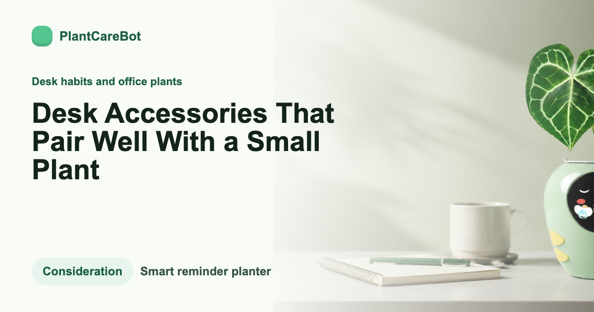 Desk Accessories That Pair Well With a Small Plant cover image for PlantCareBot blog