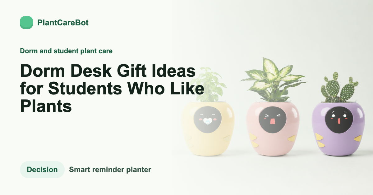 Dorm Desk Gift Ideas for Students Who Like Plants cover image for PlantCareBot blog