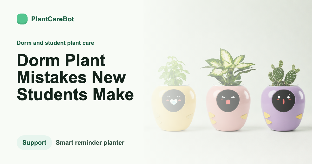 Dorm Plant Mistakes New Students Make cover image for PlantCareBot blog
