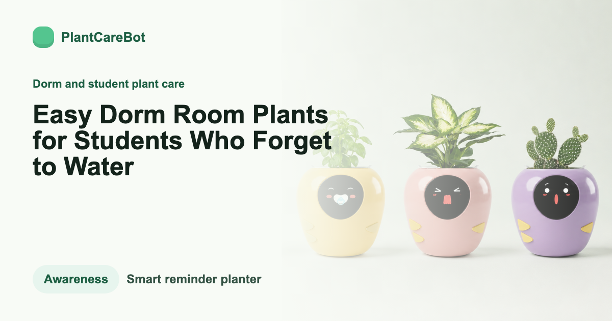 Easy Dorm Room Plants for Students Who Forget to Water cover image for PlantCareBot blog