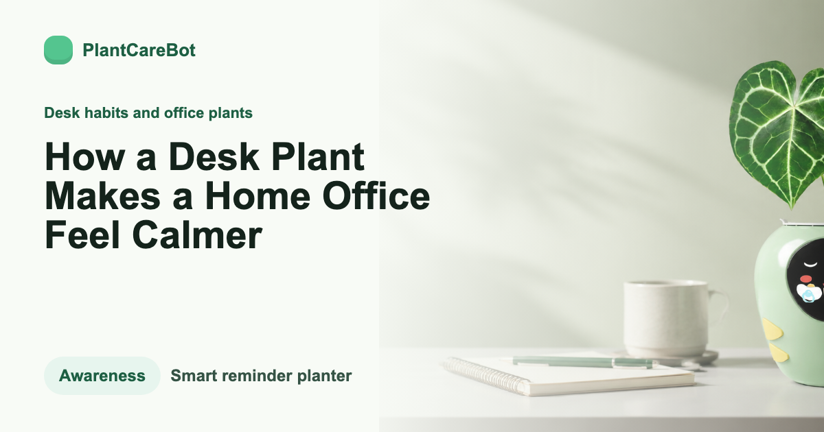 How a Desk Plant Makes a Home Office Feel Calmer cover image for PlantCareBot blog