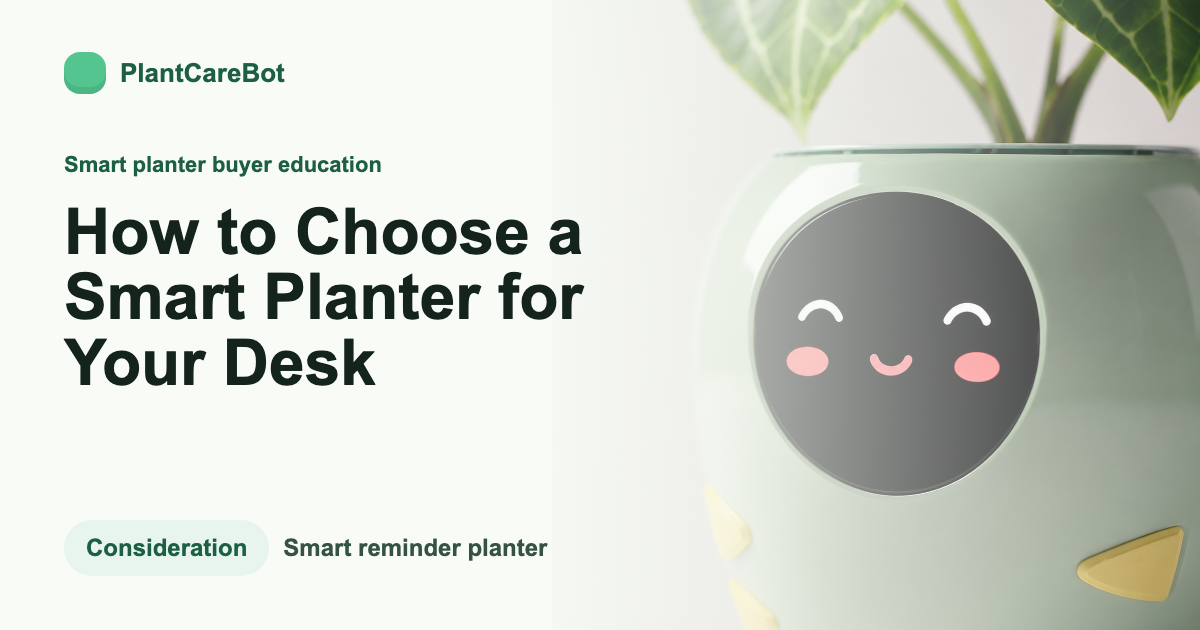 How to Choose a Smart Planter for Your Desk cover image for PlantCareBot blog
