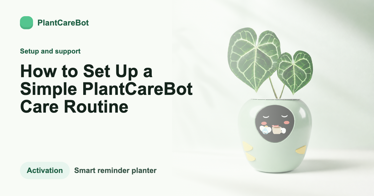How to Set Up a Simple PlantCareBot Care Routine cover image for PlantCareBot blog