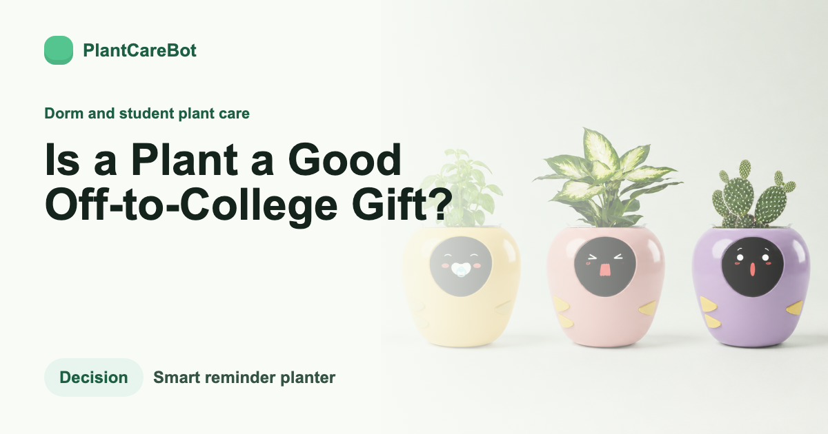 Is a Plant a Good Off-to-College Gift? cover image for PlantCareBot blog