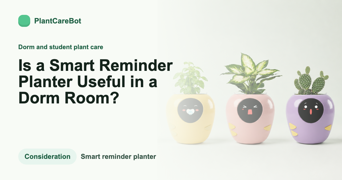 Is a Smart Reminder Planter Useful in a Dorm Room? cover image for PlantCareBot blog