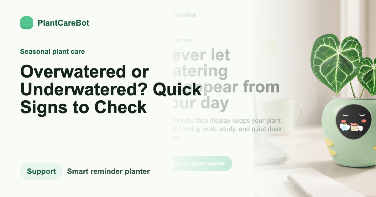 Overwatered or Underwatered? Quick Signs to Check cover image for PlantCareBot blog
