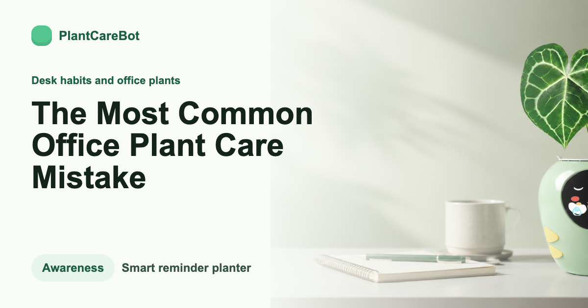 The Most Common Office Plant Care Mistake cover image for PlantCareBot blog