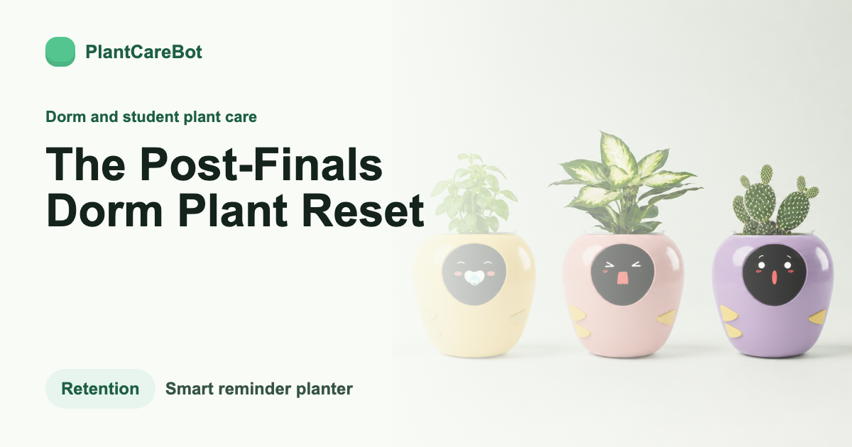 The Post-Finals Dorm Plant Reset cover image for PlantCareBot blog
