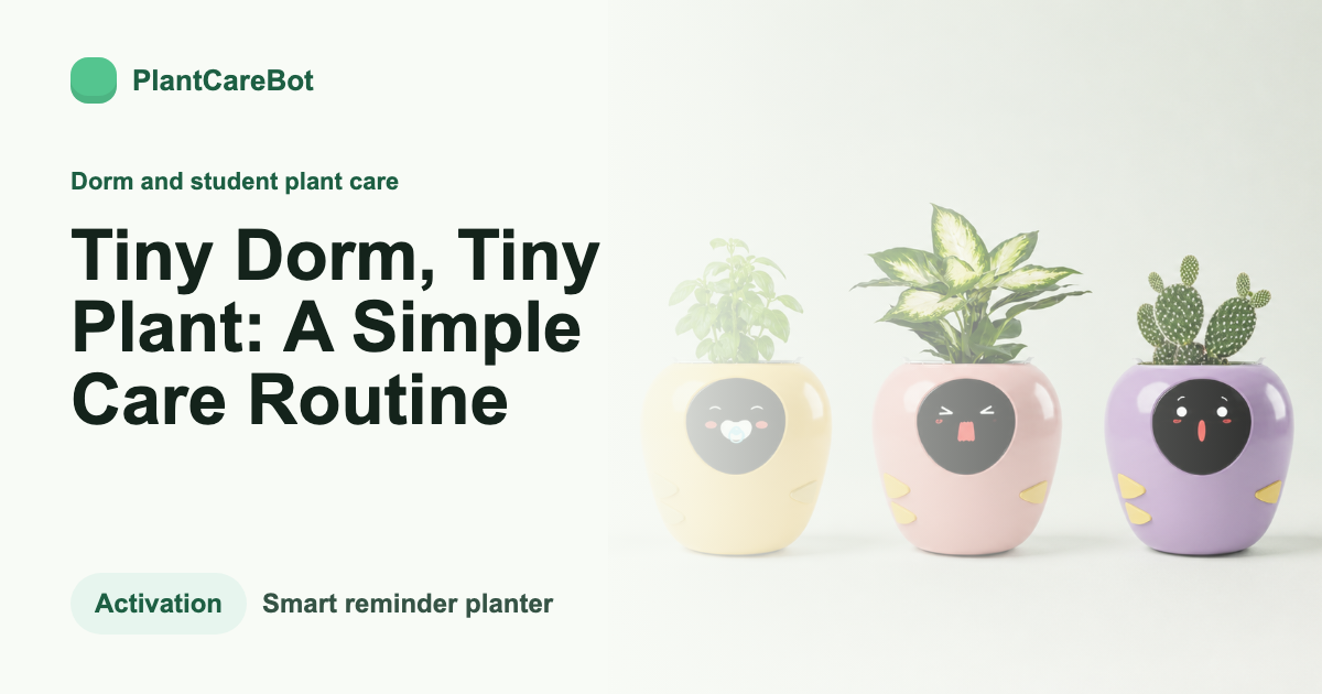 Tiny Dorm, Tiny Plant: A Simple Care Routine cover image for PlantCareBot blog