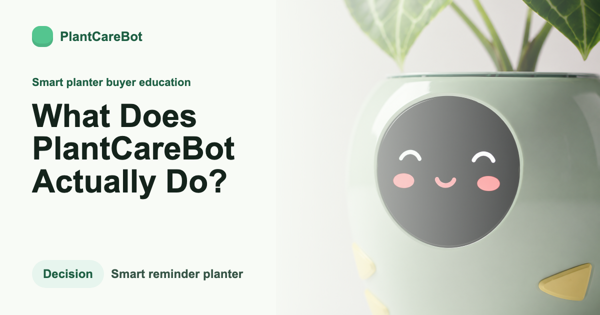 What Does PlantCareBot Actually Do? cover image for PlantCareBot blog
