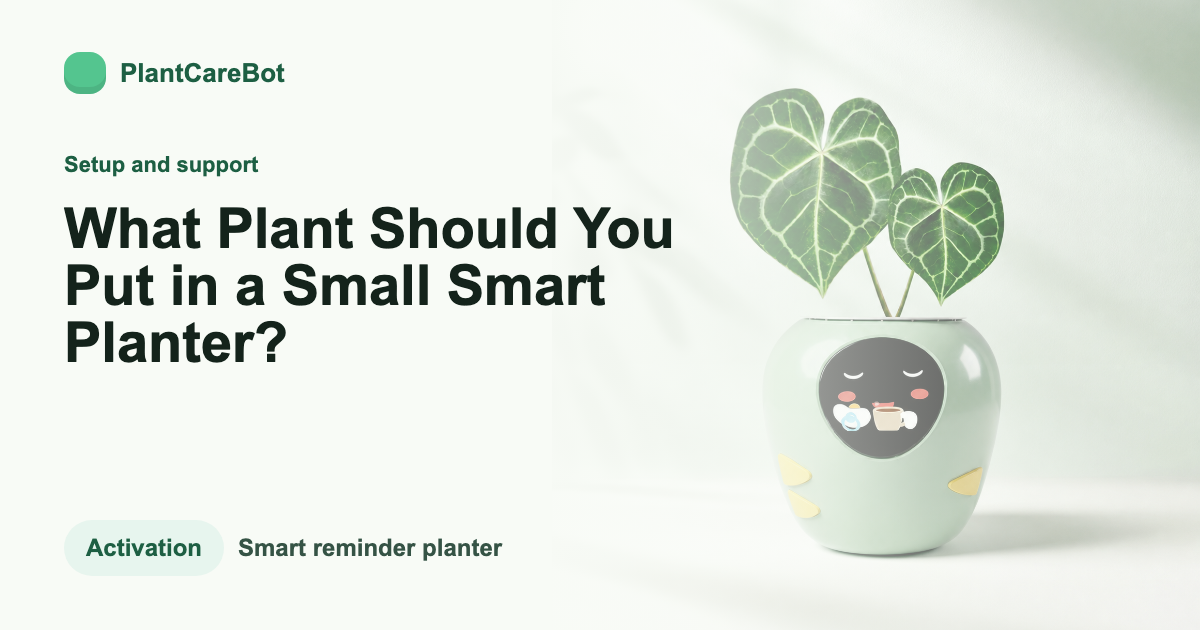 What Plant Should You Put in a Small Smart Planter? cover image for PlantCareBot blog