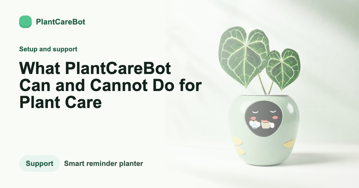 What PlantCareBot Can and Cannot Do for Plant Care cover image for PlantCareBot blog