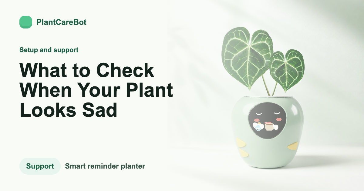 What to Check When Your Plant Looks Sad cover image for PlantCareBot blog