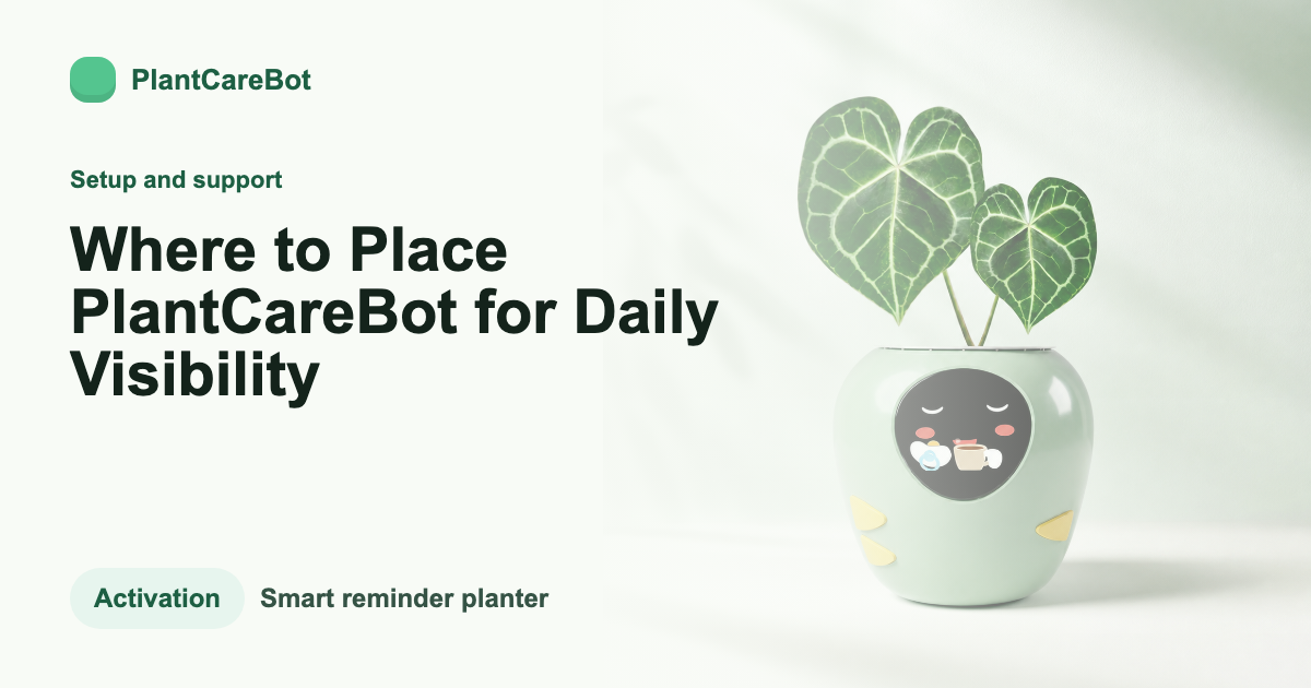 Where to Place PlantCareBot for Daily Visibility cover image for PlantCareBot blog