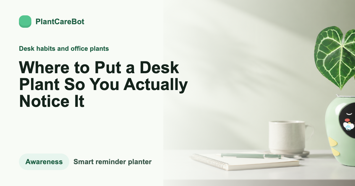 Where to Put a Desk Plant So You Actually Notice It cover image for PlantCareBot blog