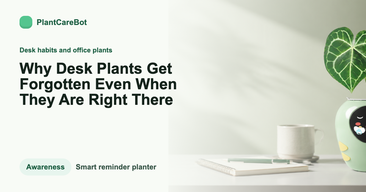 Why Desk Plants Get Forgotten Even When They Are Right There cover image for PlantCareBot blog
